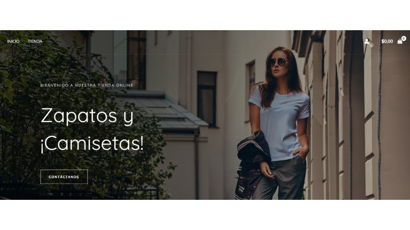 el zapato de marca porfolio